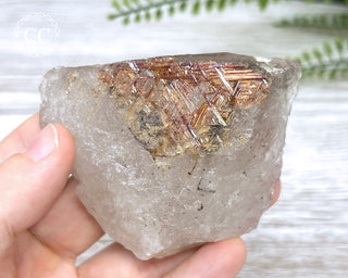 Sagenetic Rutile Quartz Crystal #12