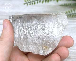 Sagenetic Rutile Quartz Crystal #12