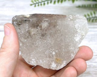 Sagenetic Rutile Quartz Crystal #12