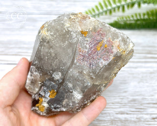 Sagenetic Rutile Quartz Crystal #3