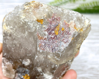 Sagenetic Rutile Quartz Crystal #3