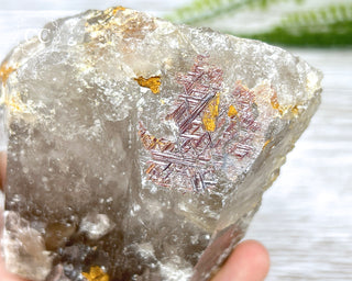 Sagenetic Rutile Quartz Crystal #3