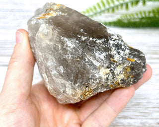 Sagenetic Rutile Quartz Crystal #3