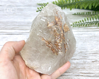 Sagenetic Rutile Quartz Crystal #6