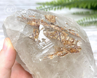 Sagenetic Rutile Quartz Crystal #6