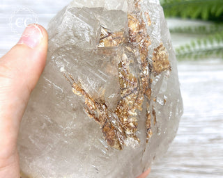 Sagenetic Rutile Quartz Crystal #6