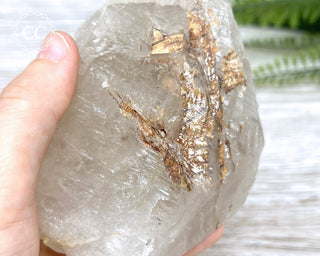 Sagenetic Rutile Quartz Crystal #6