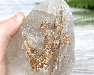 Sagenetic Rutile Quartz Crystal #6