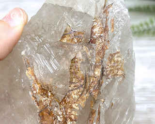 Sagenetic Rutile Quartz Crystal #6