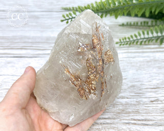 Sagenetic Rutile Quartz Crystal #6