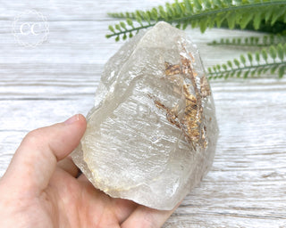 Sagenetic Rutile Quartz Crystal #6