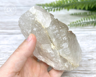 Sagenetic Rutile Quartz Crystal #6