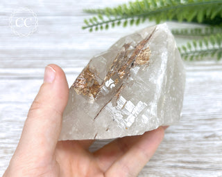 Sagenetic Rutile Quartz Crystal #6