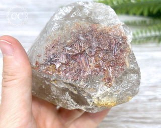 Sagenetic Rutile Quartz Crystal #7