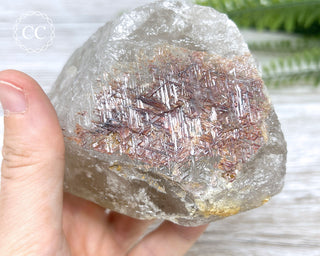 Sagenetic Rutile Quartz Crystal #7