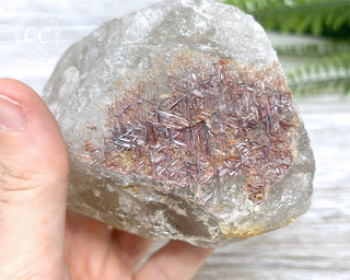 Sagenetic Rutile Quartz Crystal #7