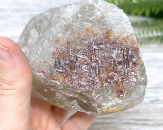 Sagenetic Rutile Quartz Crystal #7