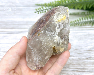 Sagenetic Rutile Quartz Crystal #7