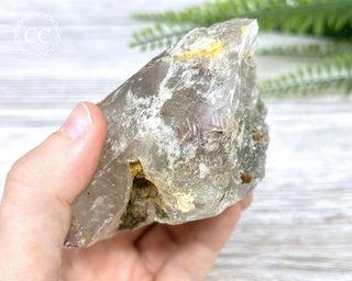 Sagenetic Rutile Quartz Crystal #7