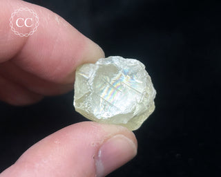 Sanidine Crystal #5