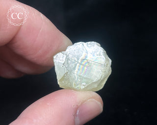 Sanidine Crystal #5