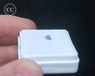 Blue Sapphire Faceted Gem #4
