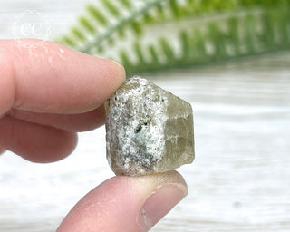 Scapolite Crystal #6