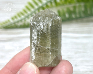 Scapolite Crystal #9