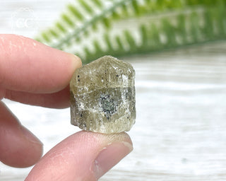 Scapolite Crystal #6