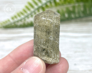 Scapolite Crystal #11