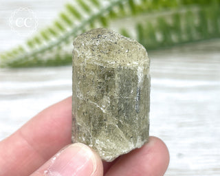 Scapolite Crystal #11