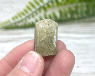 Scapolite Crystal #12