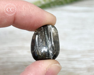 Scapolite with Magnetite #2