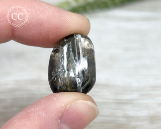 Scapolite with Magnetite #2