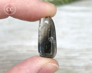 Scapolite with Magnetite #4