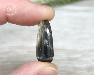 Scapolite with Magnetite #4