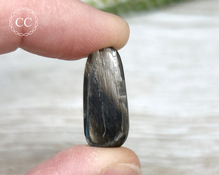 Scapolite with Magnetite #4