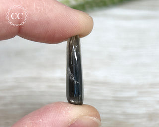 Scapolite with Magnetite #4