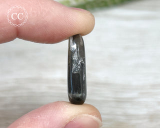 Scapolite with Magnetite #4