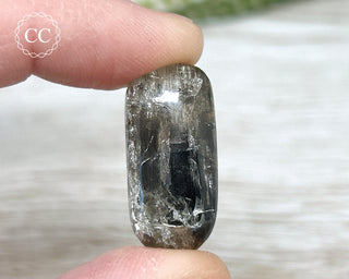 Scapolite with Magnetite #5