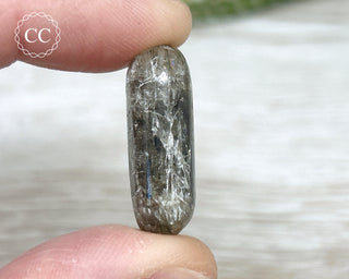 Scapolite with Magnetite #5