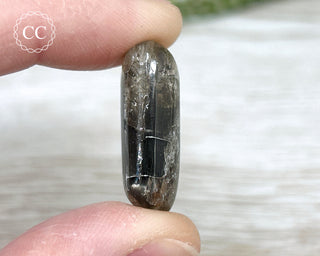 Scapolite with Magnetite #5