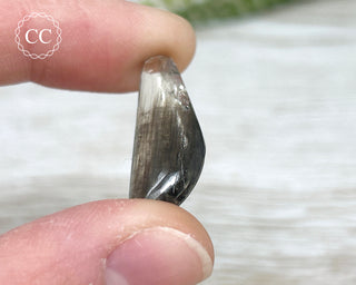 Scapolite with Magnetite #1