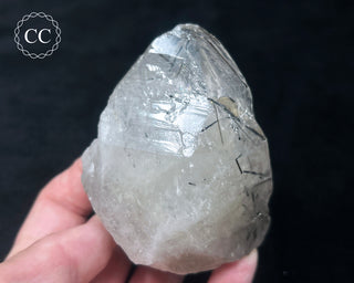 Schorl - Dravite Tourmaline in Quartz #1