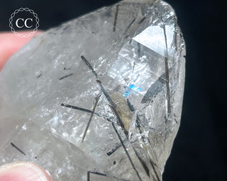 Schorl - Dravite Tourmaline in Quartz #1