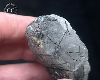 Schorl - Dravite Tourmaline in Quartz #5