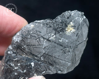 Schorl - Dravite Tourmaline in Quartz #5