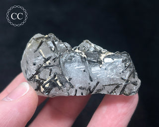 Schorl - Dravite Tourmaline in Quartz #6