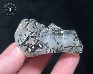Schorl - Dravite Tourmaline in Quartz #6