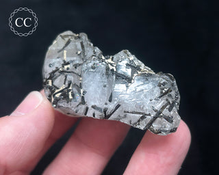 Schorl - Dravite Tourmaline in Quartz #6